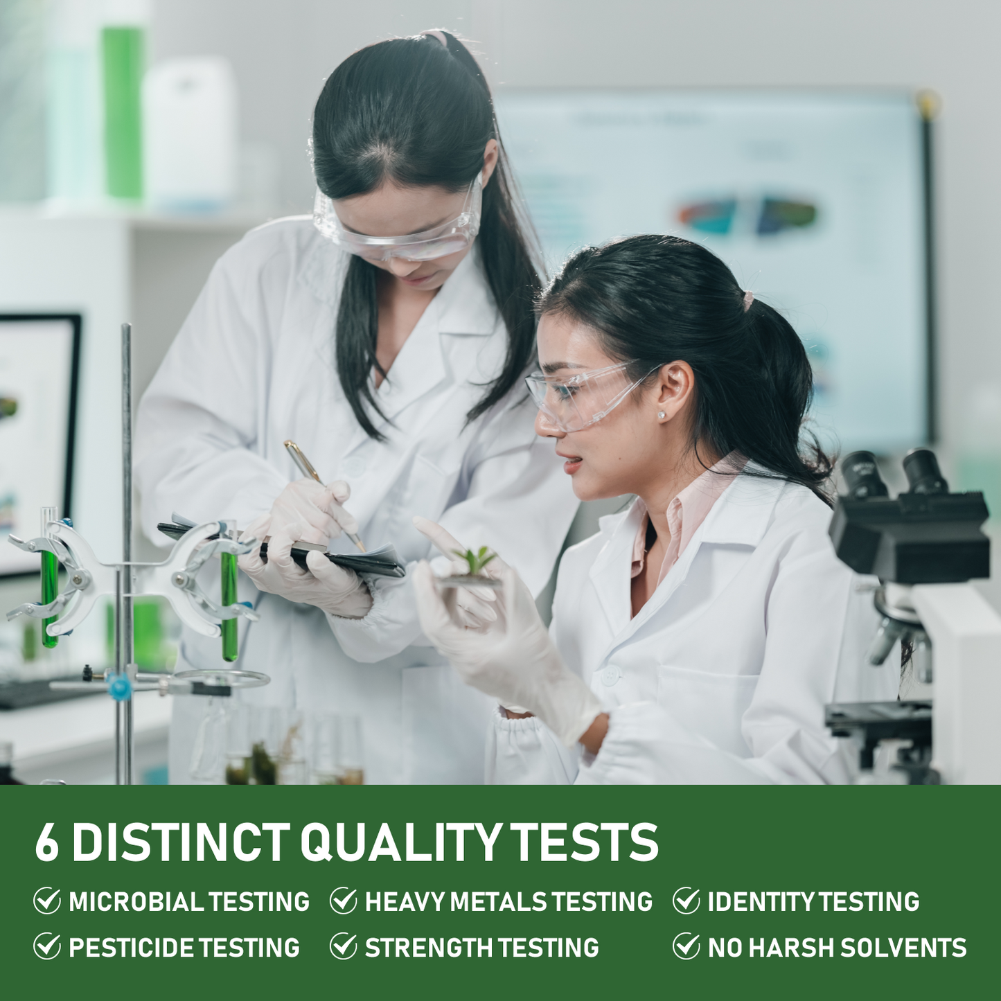 KSM-66 Ashwagandha with L-Theanine, Moringa, Organic Mushrooms & Ginseng