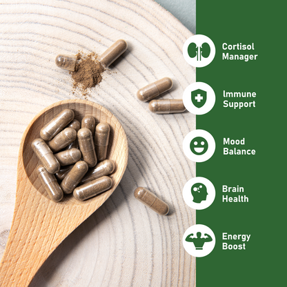 KSM-66 Ashwagandha with L-Theanine, Moringa, Organic Mushrooms & Ginseng