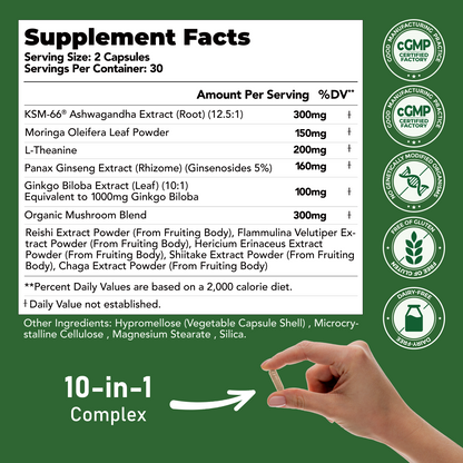 KSM-66 Ashwagandha with L-Theanine, Moringa, Organic Mushrooms & Ginseng