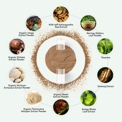 KSM-66 Ashwagandha with L-Theanine, Moringa, Organic Mushrooms & Ginseng
